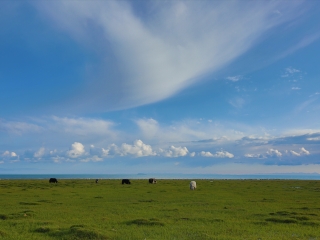 現(xiàn)在去云南香格里拉旅游多少錢_云南香格里拉旅行團_旅行團云南香格里拉游