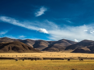現(xiàn)在去云南香格里拉旅游多少錢_云南香格里拉旅行團_旅行團云南香格里拉游