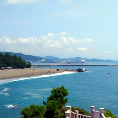活动模块 
