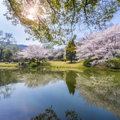 景点模块 