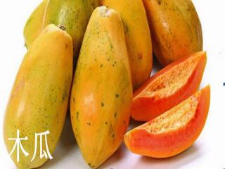 海南火龙果,莲雾,释迦果,菠萝蜜,木瓜,火龙果,芒