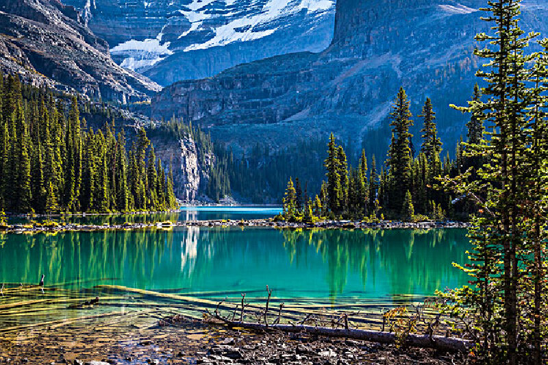急需要加拿大城市7月下旬到8月上旬的气温,多