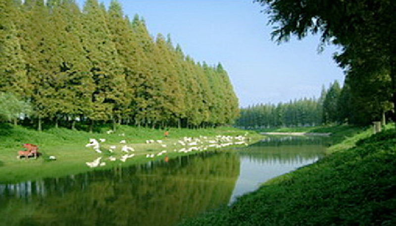 湖北潜江或周围有哪些好玩的地方?-潜江广华有