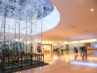 如何从成田机场到东京新宿新高轮王子饭店