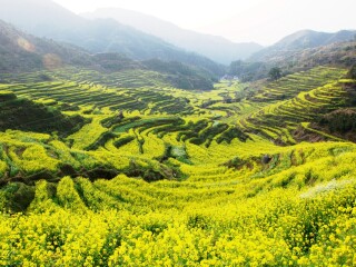 去江西廬山報(bào)團(tuán)多少錢(qián)_江西廬山最佳旅游路線_跟團(tuán)江西廬山游價(jià)格