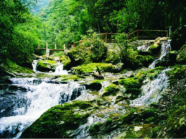 <万盛-黑山谷1日游