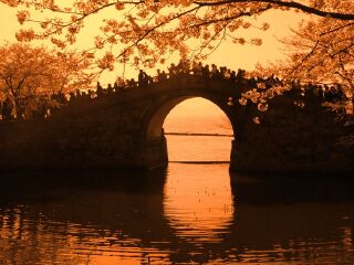 华东旅游报团价格_华东七日游价格_华东游跟团多少钱2023