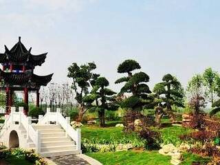 河南云臺(tái)山旅游費(fèi)用_河南云臺(tái)山旅行團(tuán)_組團(tuán)去河南云臺(tái)山