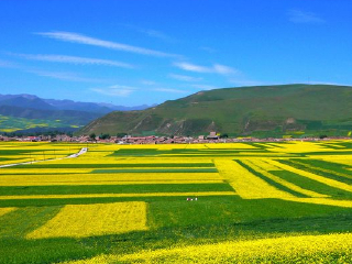 青海旅游報(bào)團(tuán)價(jià)格_香港旅游團(tuán)青海_青海游特價(jià)團(tuán)