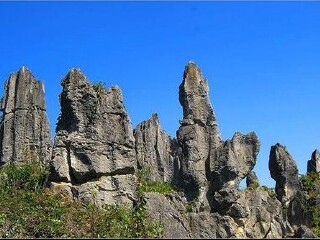 云南西雙版納游組團(tuán)_云南西雙版納旅游團(tuán)_云南西雙版納旅游需要多少錢