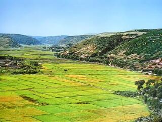 現(xiàn)在去西安華山旅游多少錢(qián)_西安華山旅游價(jià)格多少跟團(tuán)_東莞到西安華山游