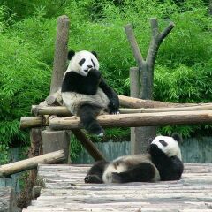 景点模块 