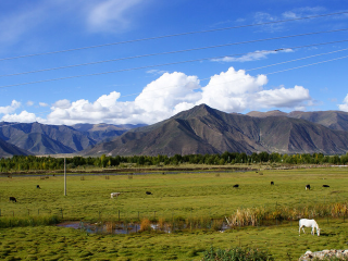 甘肅蘭州旅游團(tuán)報(bào)價(jià)_去甘肅蘭州旅游多少錢_跟團(tuán)甘肅蘭州游價(jià)格