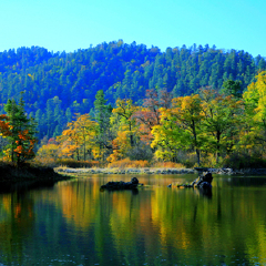 小交通模块 