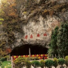 景点模块 