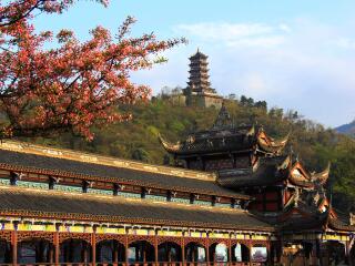 去四川成都旅游網(wǎng)站_報團(tuán)去四川成都旅游_到四川成都旅游跟團(tuán)報價