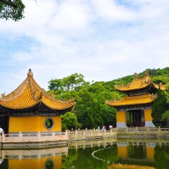 活动模块 