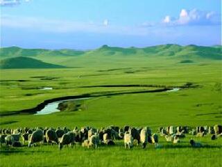 呼倫貝爾大草原八月份旅游_現(xiàn)在到呼倫貝爾大草原旅游多少錢(qián)_呼倫貝爾大草原旅游要多少錢(qián)跟團(tuán)