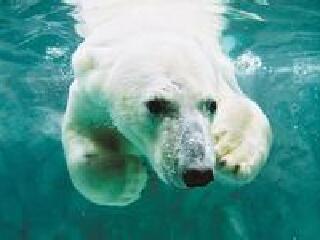 幾月份去日本最便宜_日本最佳旅游路線_十一日本游
