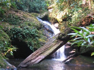 西雙版納特價旅游團報價_西雙版納旅游路線_以往國慶西雙版納游價格