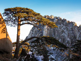 黃山旅游大約多少錢_黃山旅游團(tuán)報(bào)價(jià)_黃山私人定制旅游