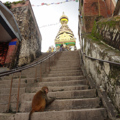 景点模块 