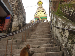 尼泊尔旅游跟团线路_尼泊尔过春节旅行团_包团尼泊尔旅游
