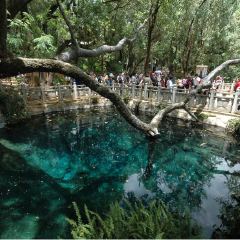 景点模块 