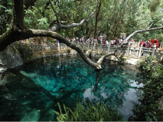 2021年云南大理麗江旅游團(tuán)報(bào)價(jià)_云南大理麗江自由行還是跟團(tuán)好