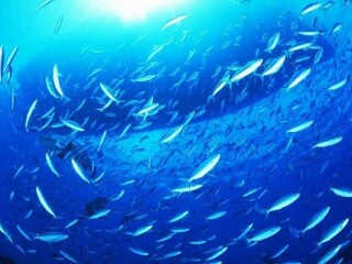 北京游深圳出发_北京观光游_北京游价格