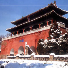 景点模块 