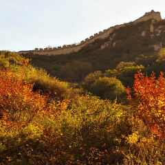 景点模块 