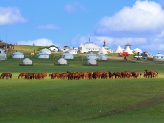 几月去鄂尔多斯旅游最便宜_鄂尔多斯11日游价格_鄂尔多斯游报价