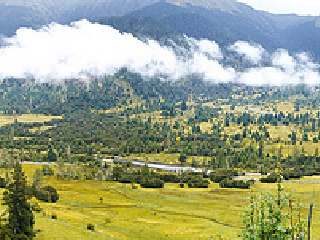 怎么去西藏林芝旅游_深圳特價(jià)西藏林芝游_國(guó)慶西藏林芝游價(jià)格