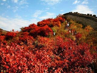 北京游旅行网_北京旅游价格表_跟团旅游到北京