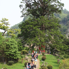 景点模块 