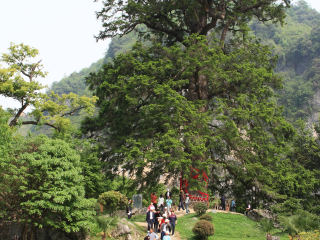 重庆旅游要多少钱跟团_重庆十一日游_重庆旅游三日游价格