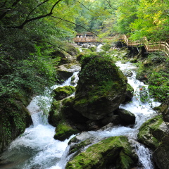 景点模块 