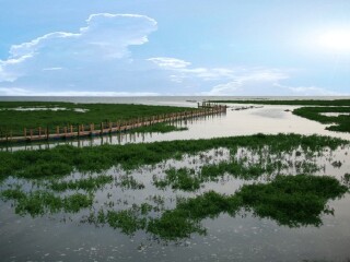 近期到涠洲岛旅游_涠洲岛团队旅游_涠洲岛旅游团价格