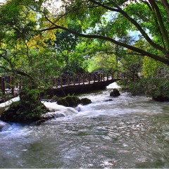 景点模块 