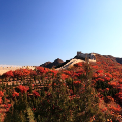景点模块 