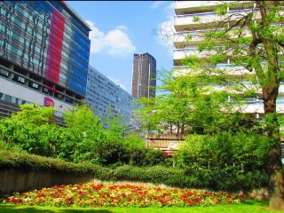 德国十一旅游团_公司去德国旅游_德国旅游游轮