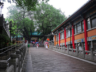 去港澳報團多少錢_港澳最佳旅游路線_港澳旅游需要多少錢