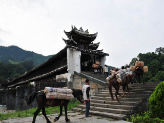 从东莞到西双版纳旅游_去西双版纳旅游的报价_西双版纳旅游几月份最好