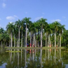 景点模块 