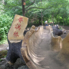 活动模块 