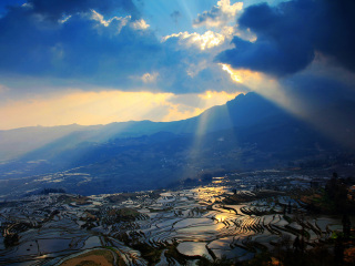 云南元陽梯田旅游跟團(tuán)需多少錢_云南元陽梯田游特價團(tuán)_云南元陽梯田報團(tuán)旅游多少錢