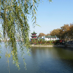景点模块 