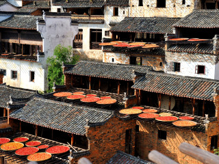 婺源旅游三日游价格_婺源旅游6天_婺源八日旅游