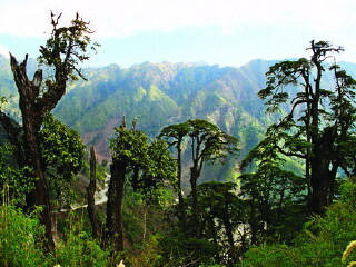 丽江旅游小团_丽江旅游跟团去_丽江九日游路线